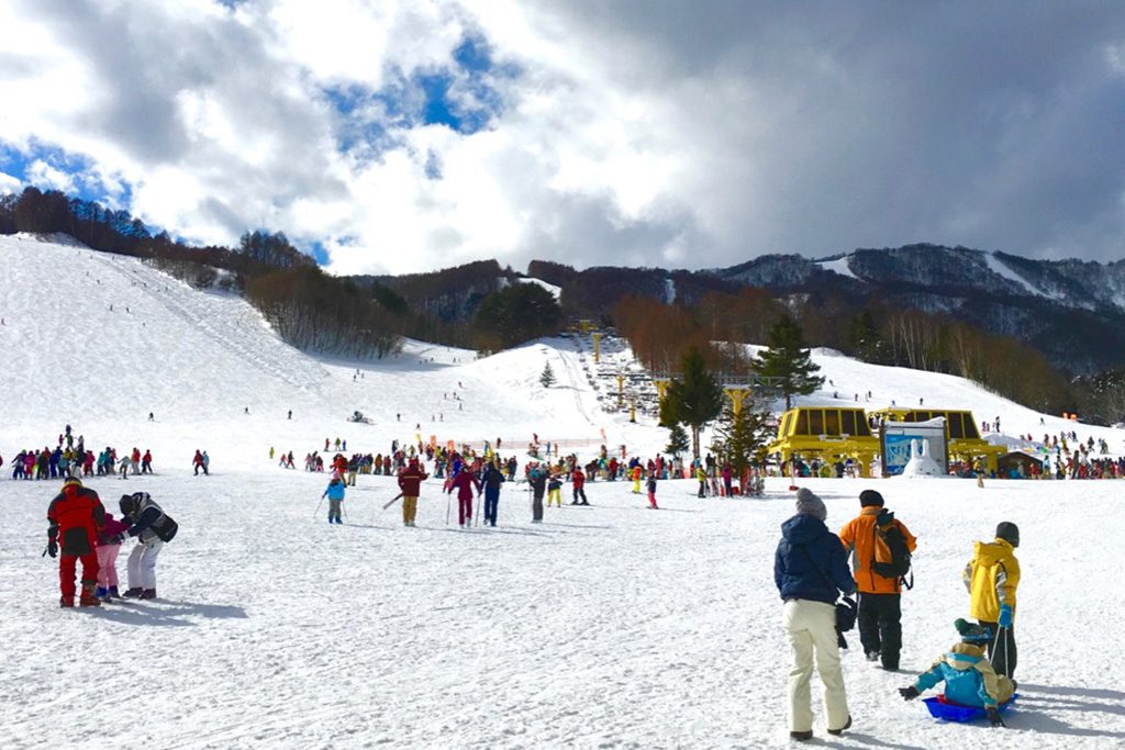 かたしな高原スキー場のゲレンデ(群馬県/利根郡片品村)