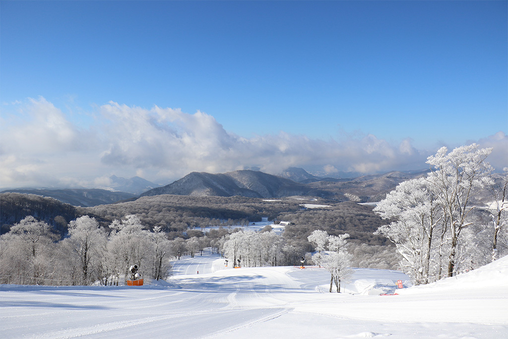 たんばらスキーパークのゲレンデ(群馬県/沼田市)