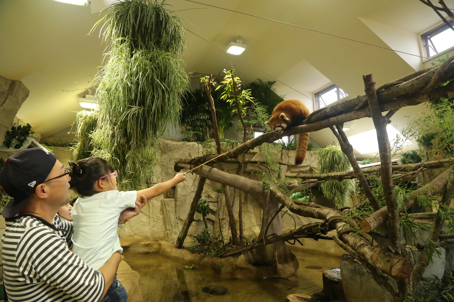那須どうぶつ王国（栃木県／那須町）