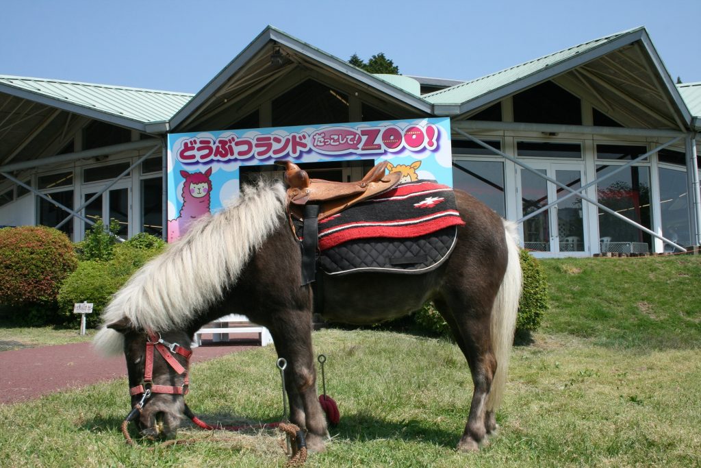 施設外観とポニー/箱根園(神奈川県/箱根町)