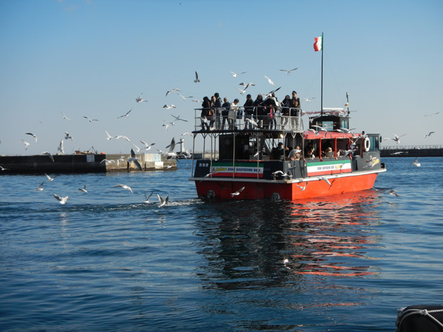 カモメに餌付けしながら景観を楽しもう/熱海遊覧船 サンレモ(静岡県熱海市)