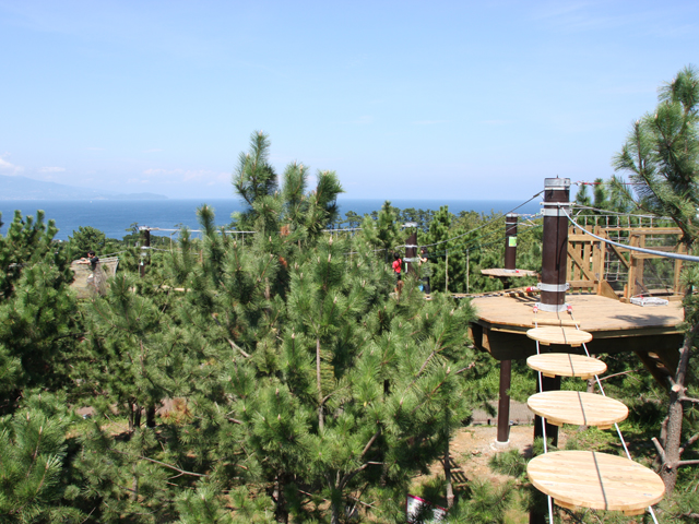 青い海を望みながら楽しむ自然体験施設/初島アドベンチャーSARUTOBI(静岡県熱海市)