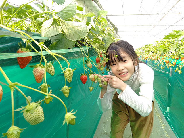 いちご狩りを楽しむ子ども/エーアト・ベーレ(千葉県/千葉市)
