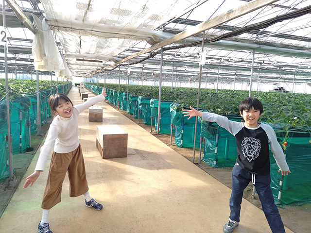 いちご狩りを楽しむ子どもたち/エーアト・ベーレ(千葉県/千葉市)