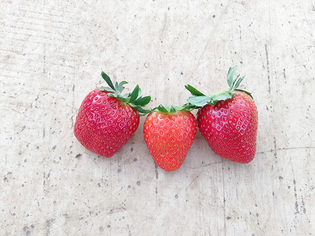 エーアト・ベーレのいちご(千葉県/千葉市)