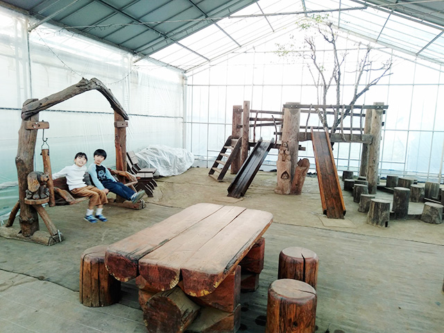 ハウス内の木製ミニアスレチック/エーアト・ベーレ(千葉県/千葉市)