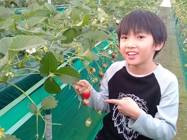 エーアト・ベーレのいちご狩り(千葉県/千葉市)