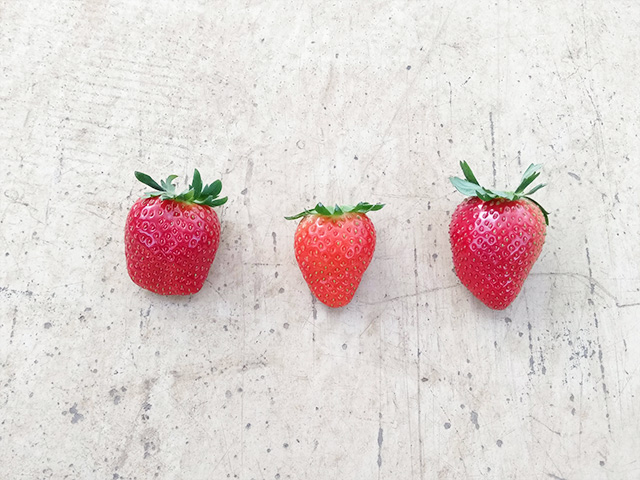 エーアト・ベーレのいちご(千葉県/千葉市)