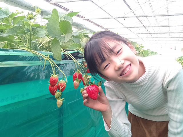 いちご狩りを楽しむ子ども/エーアト・ベーレ(千葉県/千葉市)