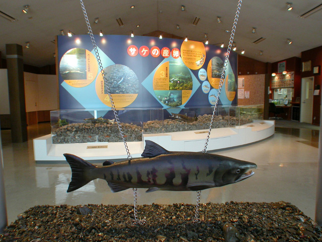 札幌市豊平川さけ科学館（北海道／札幌市南区）
