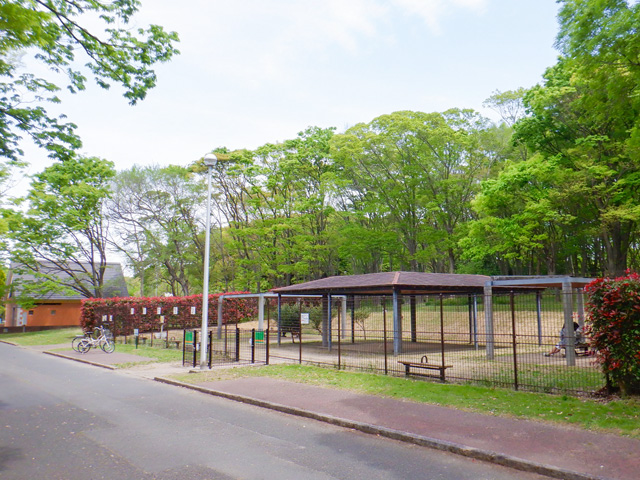 小型犬専用ドッグラン/大泉緑地(大阪府/堺市)