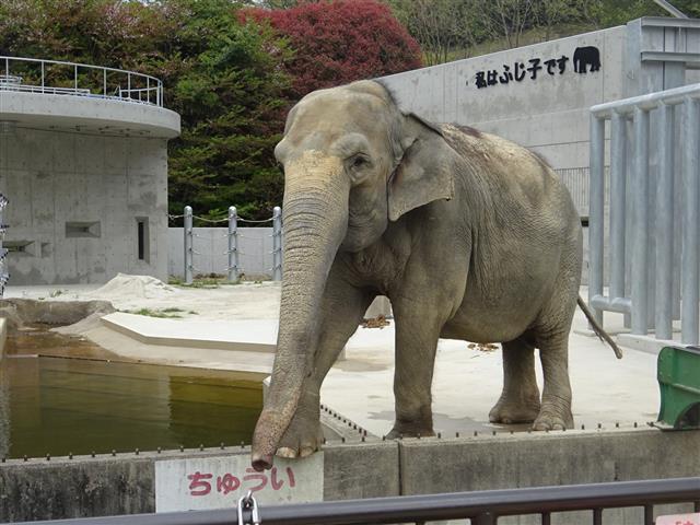 岡崎市東公園動物園