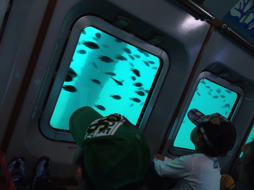 海中展望室では魚がすぐ目の前に／熱海遊覧船　サンレモ（静岡県熱海市）