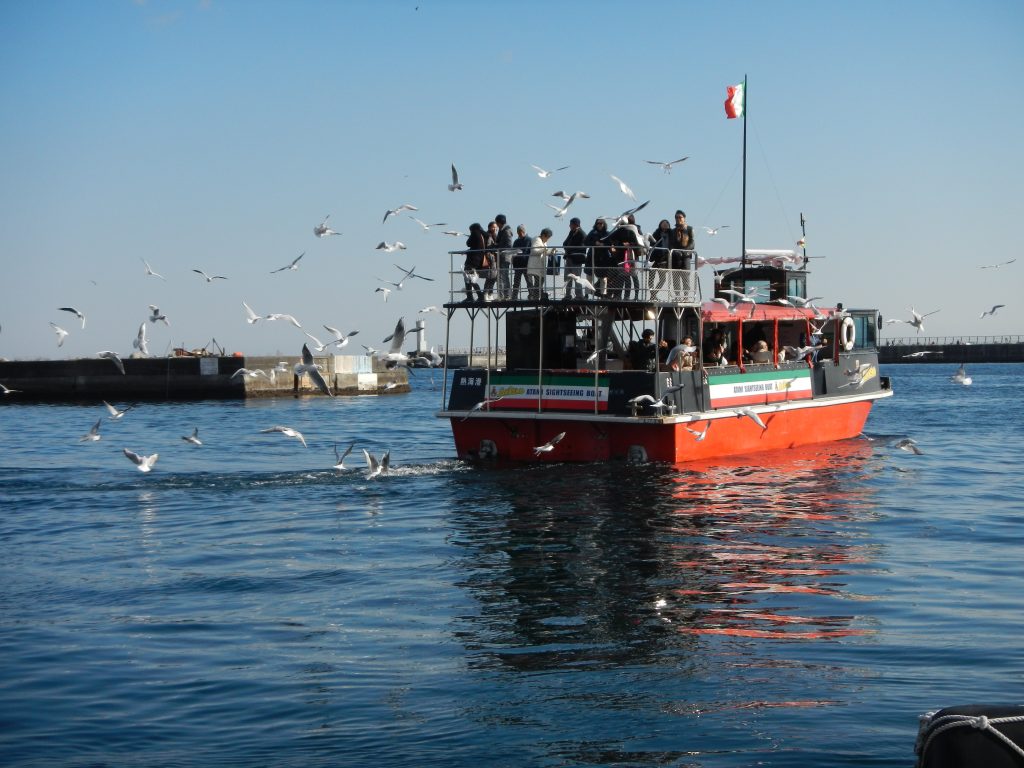 間近に現れるカモメにびっくり／熱海遊覧船　サンレモ（静岡県熱海市）