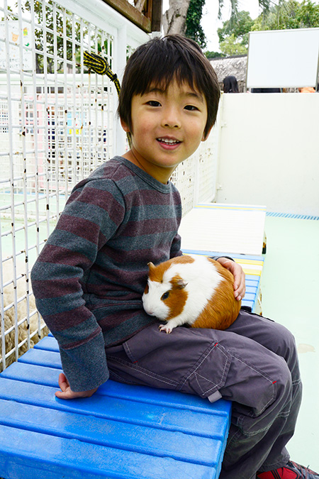 モルモットをヒザにのせる子ども/江戸川区自然動物園(江戸川区)