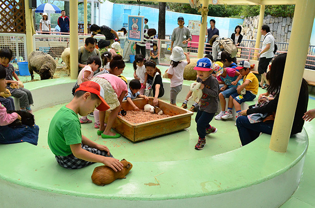 江戸川区自然動物園(東京都)のふれあいコーナー