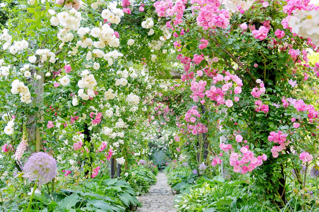 花のアーチが美しい庭園／アカオハーブ＆ローズガーデン（静岡県熱海市）