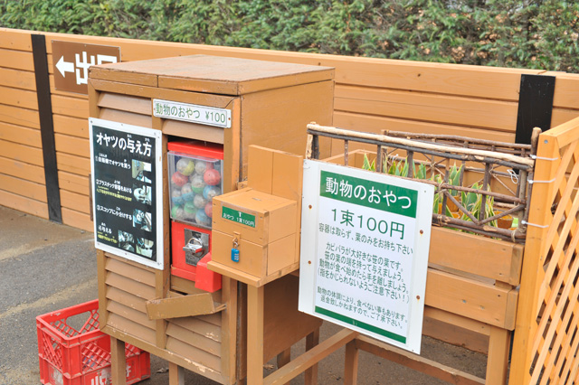 カピバラのおやつを販売/那須どうぶつ王国(栃木県/那須町)