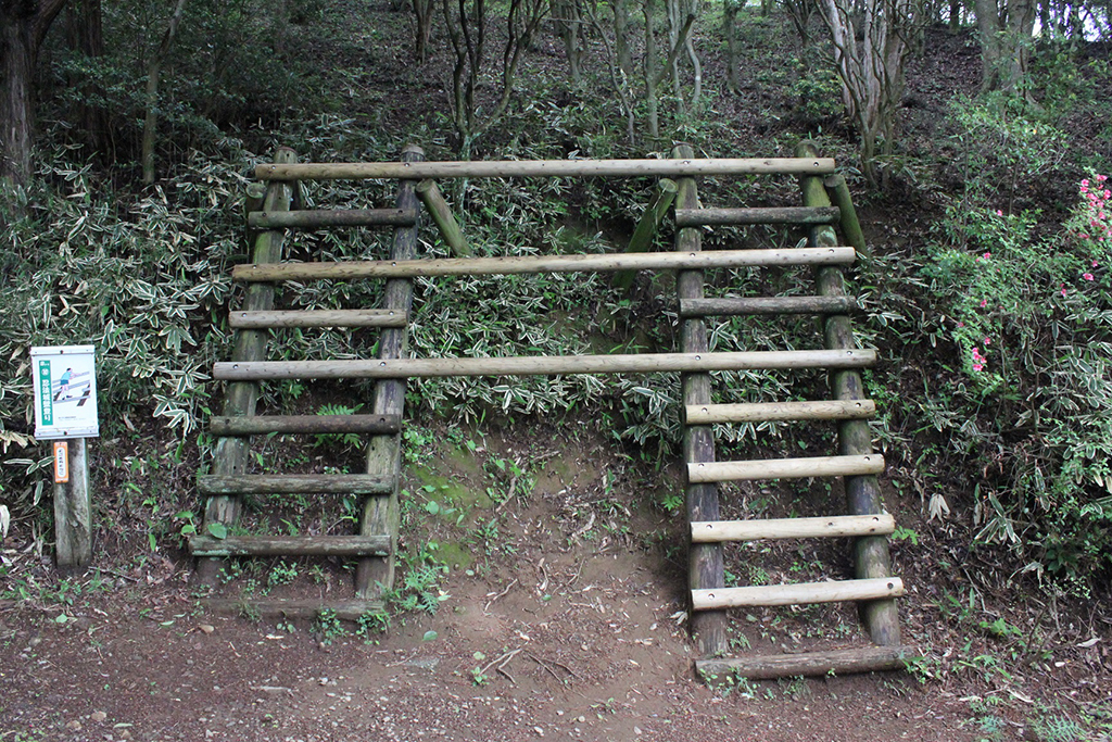 「忍法城壁登り」山の中に現れる城壁/姫の沢公園(静岡県熱海市)