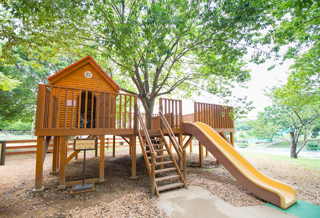 ツリーハウス ※写真は茨城県「こもれび森のイバライド」のもの