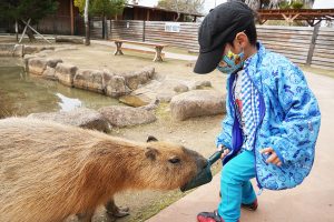 赤穂海浜公園は“難破船”の大型遊具やアスレチック、動物ふれあい、塩づくりなど充実!