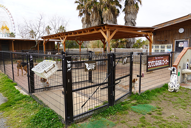 ワンワンふれあい村/赤穂海浜公園（兵庫県/赤穂市）