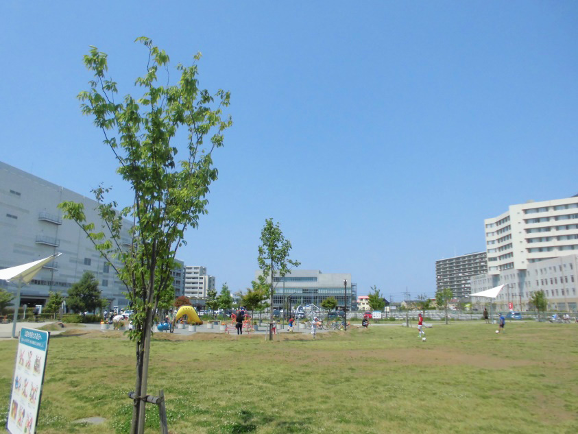芝生広場/神台公園(神奈川県/藤沢市)