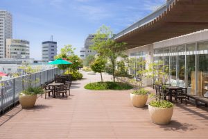 テラスモール湘南を子連れで1日楽しむポイントは？近くの公園でピクニックも！