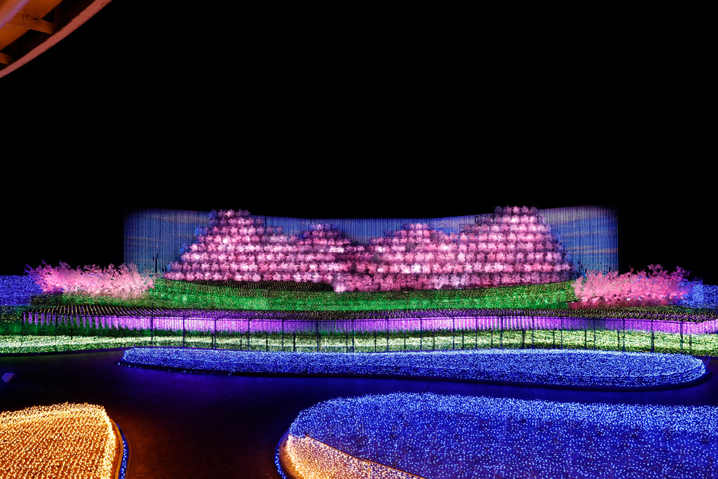 イルミネーション「さくら（桜）～SAKURA～」／なばなの里（三重県/桑名市）