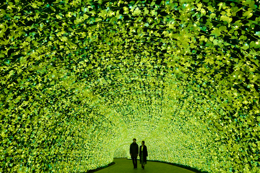 イルミネーション「100mのトンネル　菜の花」／なばなの里（三重県/桑名市）