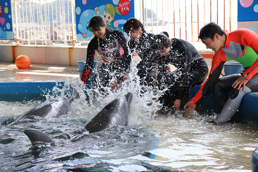 /志布志湾大黒イルカランド（宮崎県/串間市）