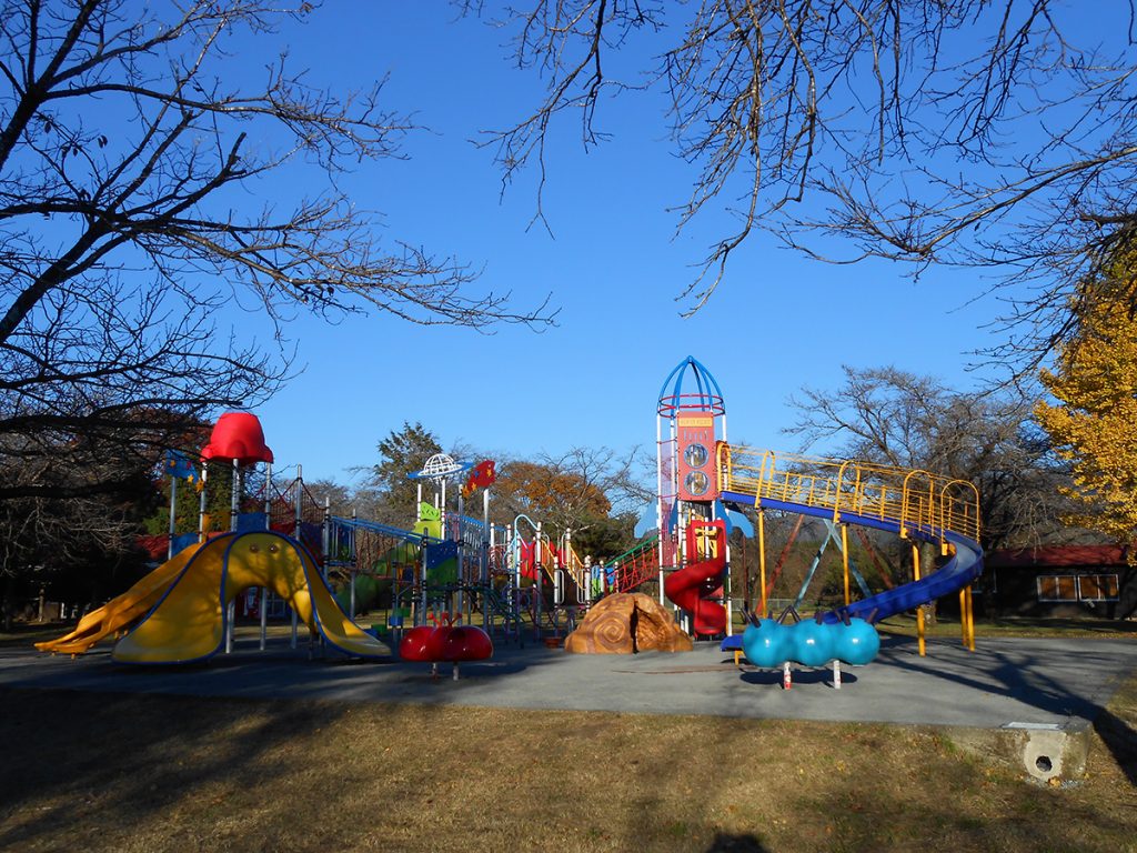 もちもちスターステーション/朝霧高原 もちや(静岡県富士宮市)
