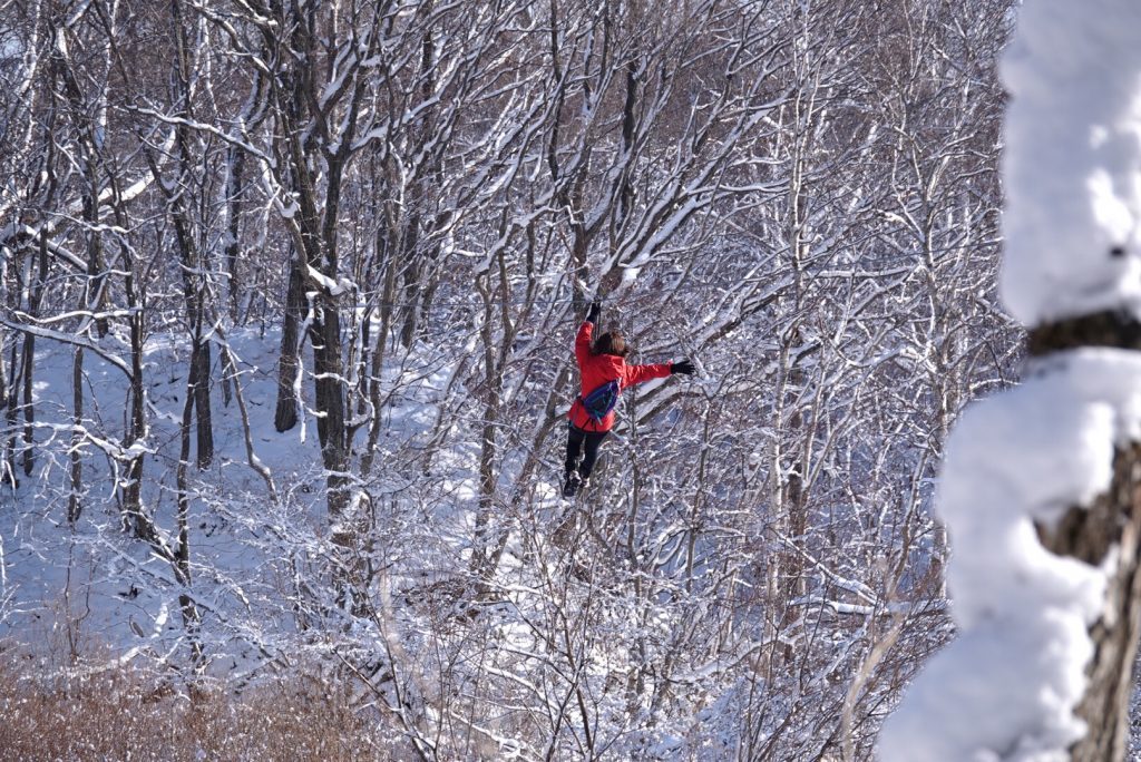 冬限定「ジップトリップツアー」/フォレストアドベンチャー・恵庭(北海道恵庭市)