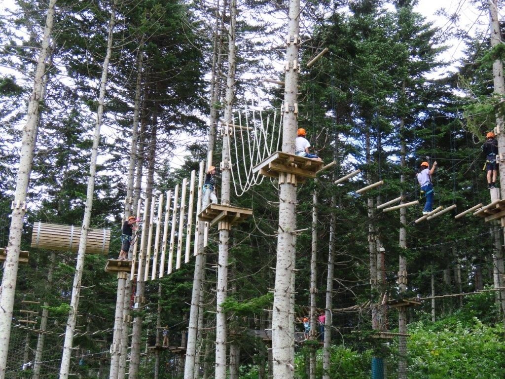 高さ5~13mの樹上に設置された様々なアスレチックコース/NACアドベンチャーパーク(北海道倶知安町)