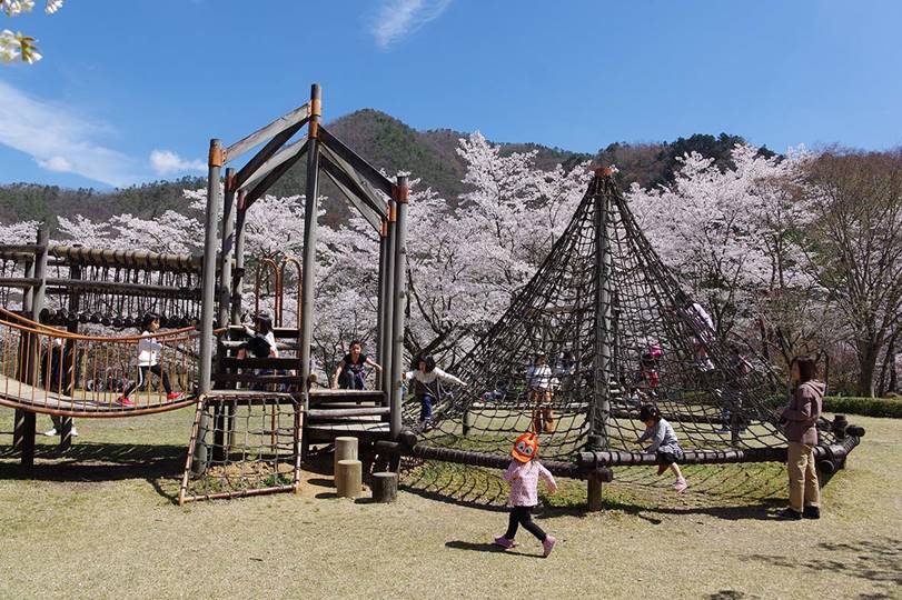 木製の複合アスレチック遊具／南丹市美山大野ダム公園（京都府南丹市）