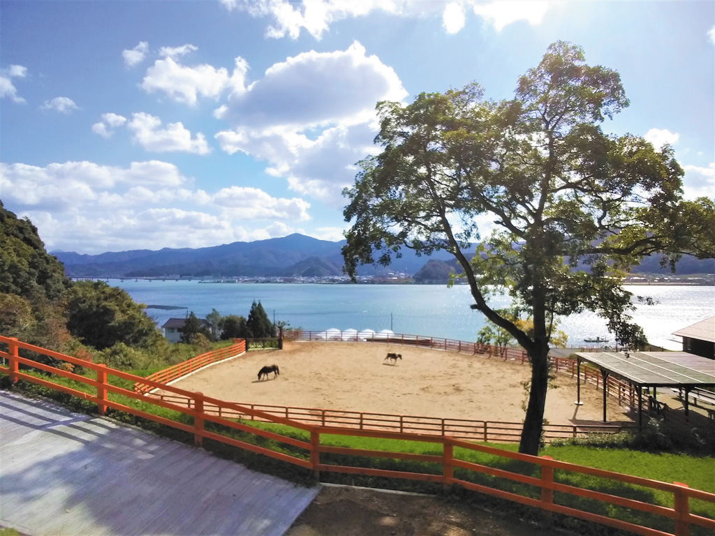 青戸ベイサイドヒルズ（福井県/おおい町）