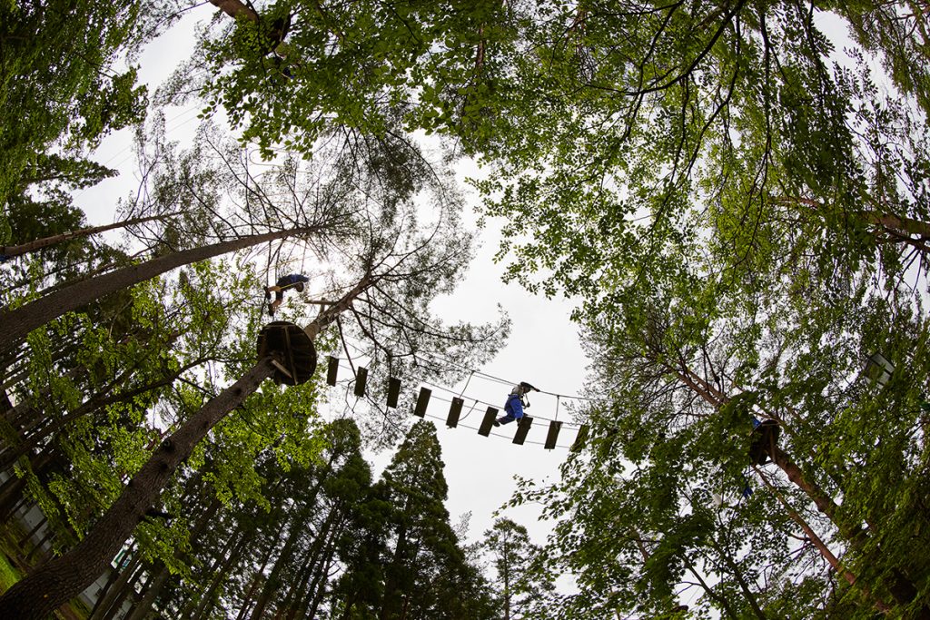 地上8mのツリートレッキング/DGヴァカンス村 ウッドアドベンチャー郡上(岐阜県郡上市)