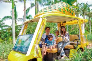 パイナップル号に乗ってゴー!パイナップルのテーマパーク「ナゴパイナップルパーク」を楽しもう!