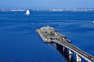 海ほたるから車で15分！木更津の「ぽんぽこ村」で通年OKの野菜収穫体験にチャレンジ