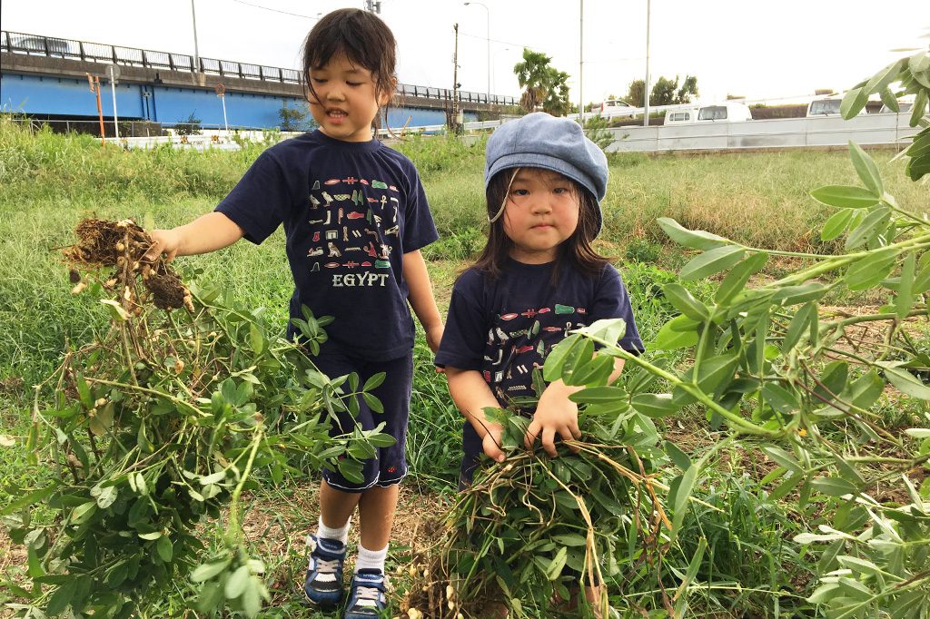 海ほたるから車で15分！木更津の「ぽんぽこ村」で通年OKの野菜収穫体験にチャレンジ
