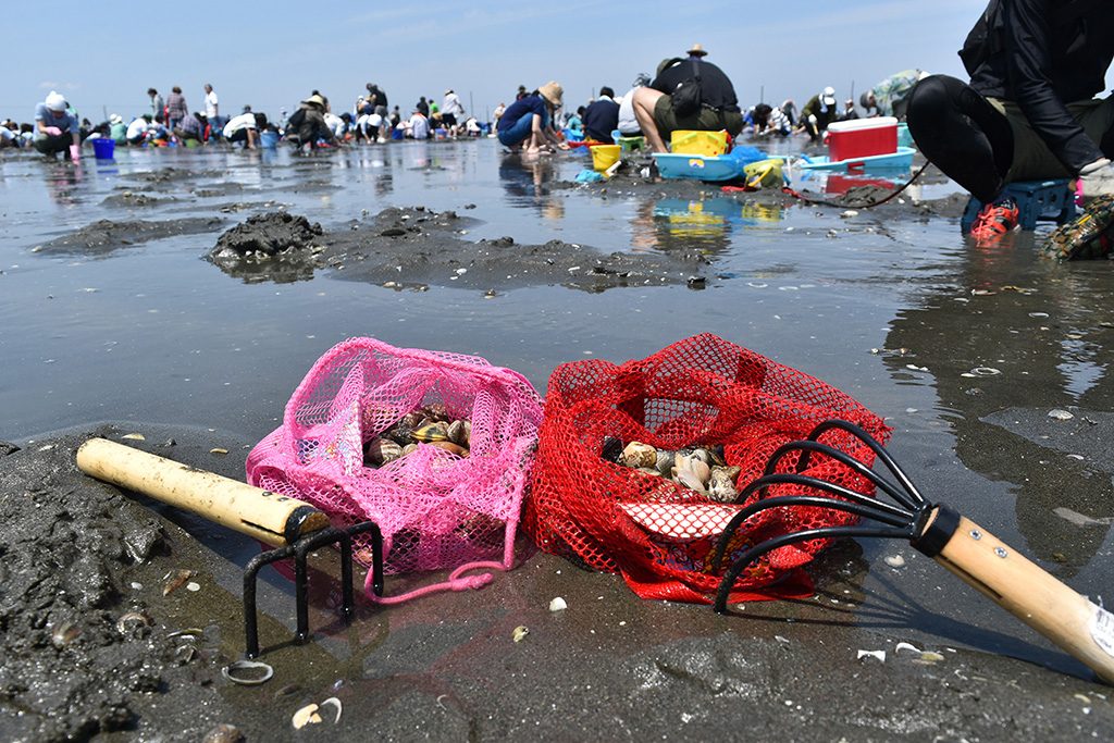 親子で潮干狩り 達人ガイド(1)～時期・場所選び･掘り方・持ち帰り方編～