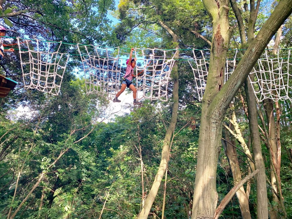 森の上のツリートレッキングコースは迫力満点/冒険の森 せき(岐阜県関市)
