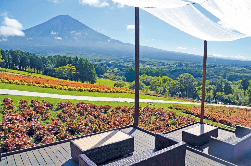 天気に恵まれれば富士山を背景に雄大な風景が楽しめる/まかいの牧場(静岡県/富士宮市)