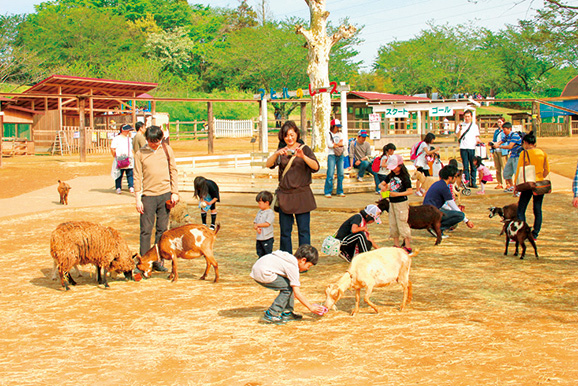 動物と間近でふれあえるイベントがいっぱい/成田ゆめ牧場(千葉県/成田市)