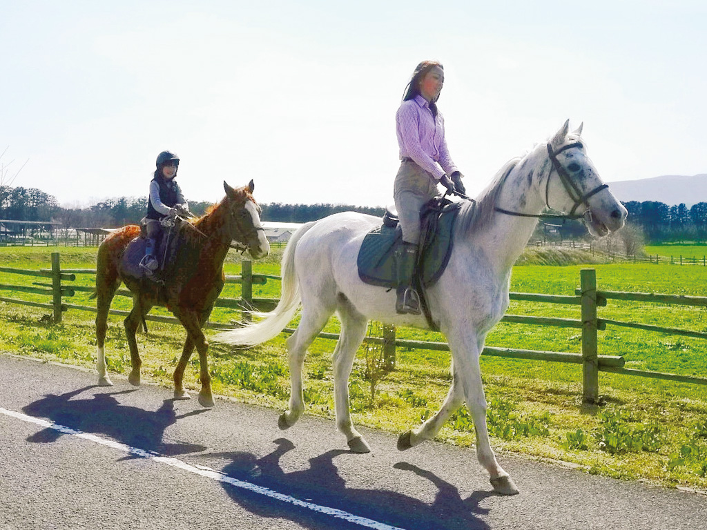 人気の体験乗馬/那須千本松牧場(栃木県/那須塩原市)