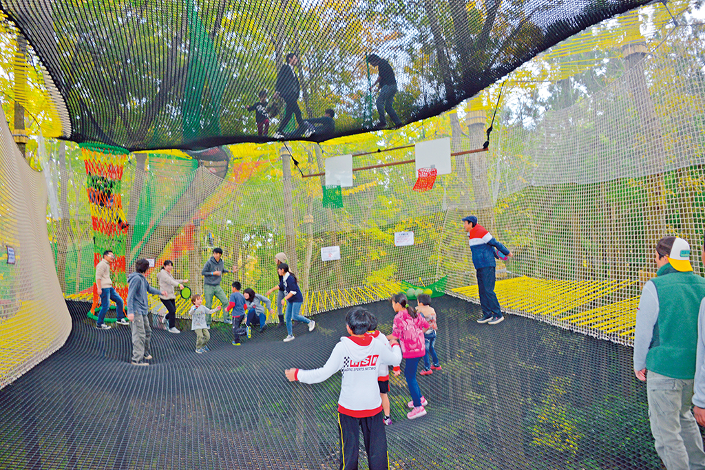 ネットの上で飛び跳ねる子どもたち/森の空中あそび パカブ(神奈川県/南足柄市)