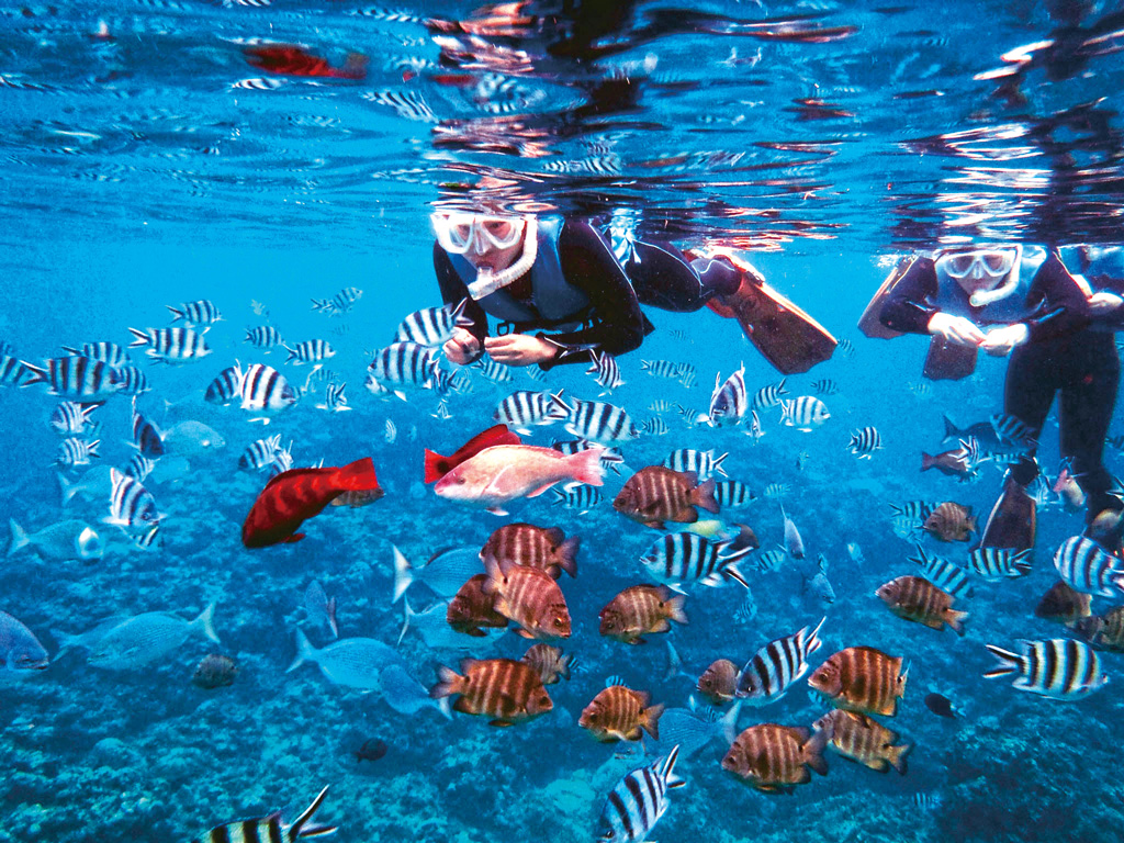 シュノーケリングを楽しむ様子/マリンクラブUMI（沖縄県/恩納村）