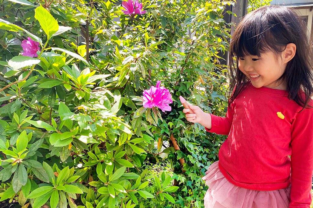 「色」をたくさん見つけよう/一般社団法人 遊心®