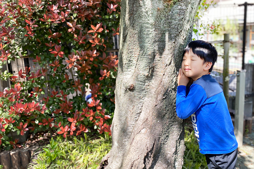 「音」を聞いてみよう/一般社団法人 遊心®