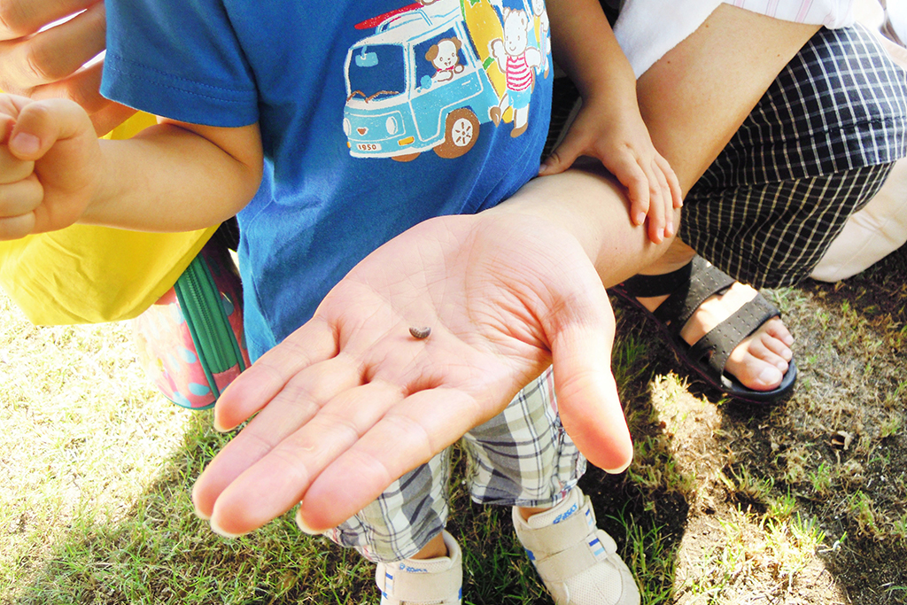 「生き物」を見つけよう/一般社団法人 遊心®